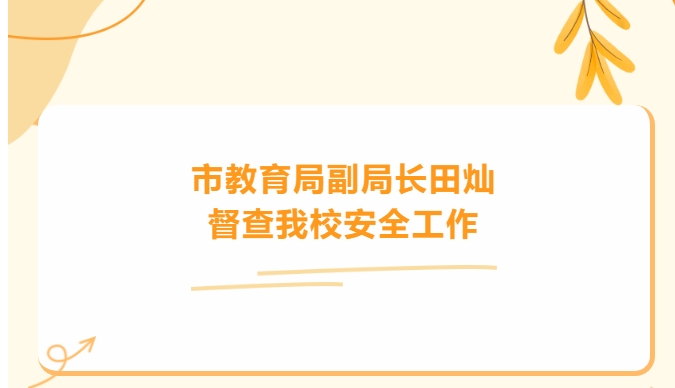 市教育局副局长田灿督查我校安全工作